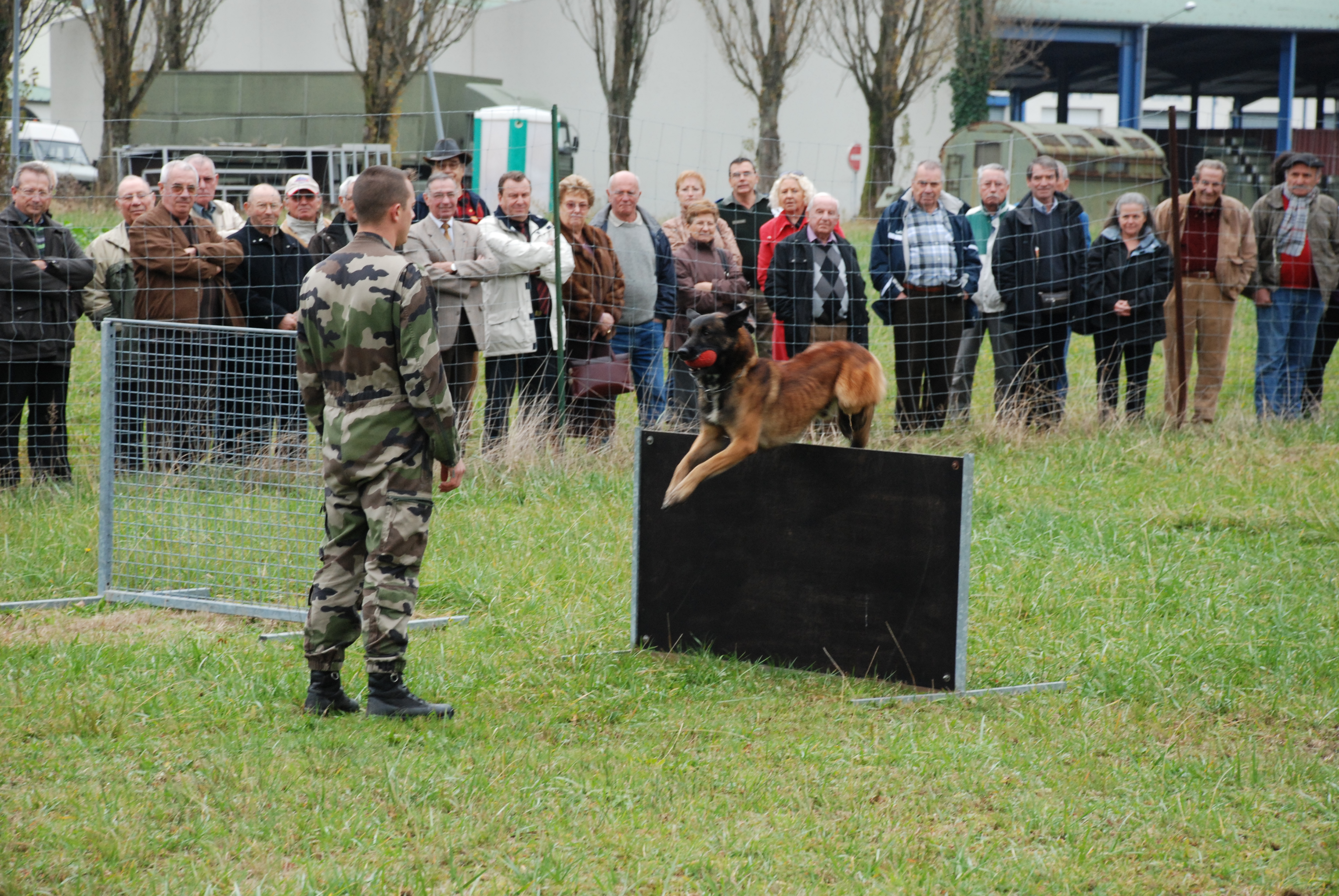 09-9350-Visite de la 186 section des médailles militaires de dax 17-11  BCH PEDUCASSE